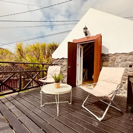 Typical House -madeira Group Semesterbostad