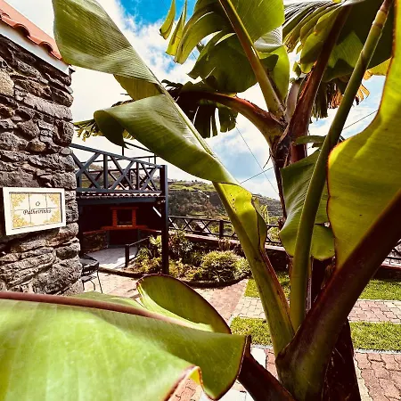 Madeira The Typical House Hébergement de vacances *
